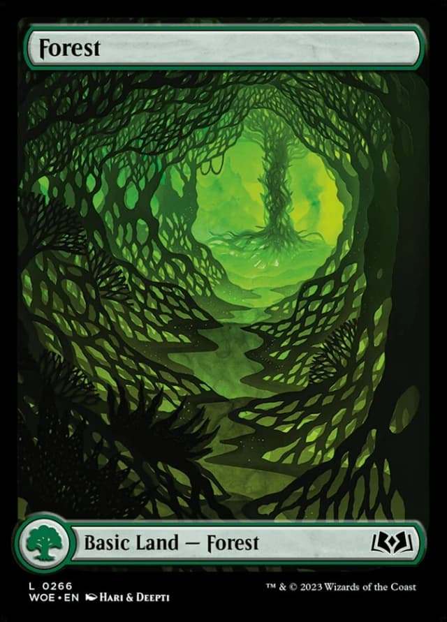 Forest image