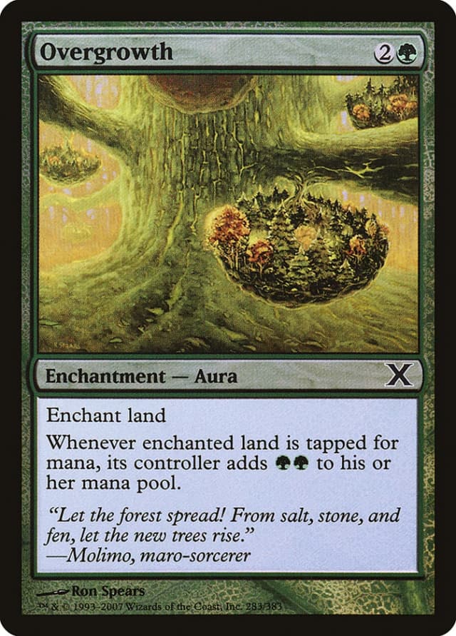 Overgrowth image