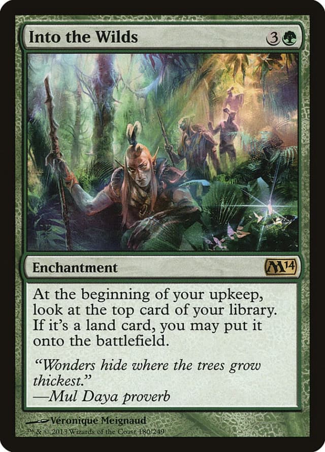 Into the Wilds image
