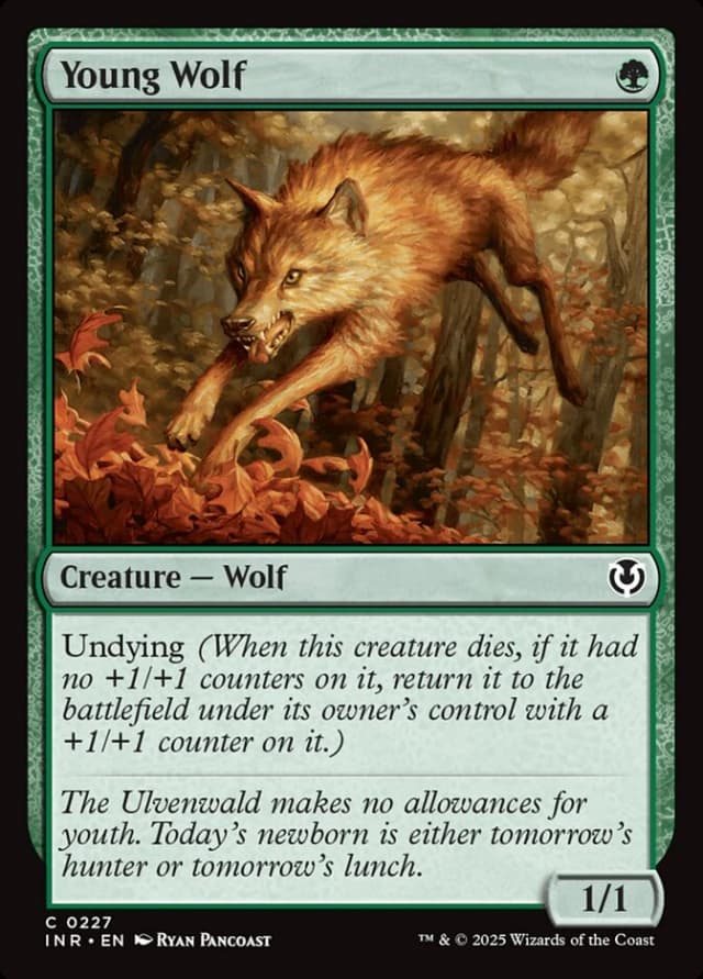 Young Wolf image