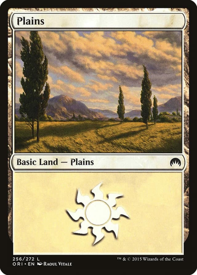 Plains image