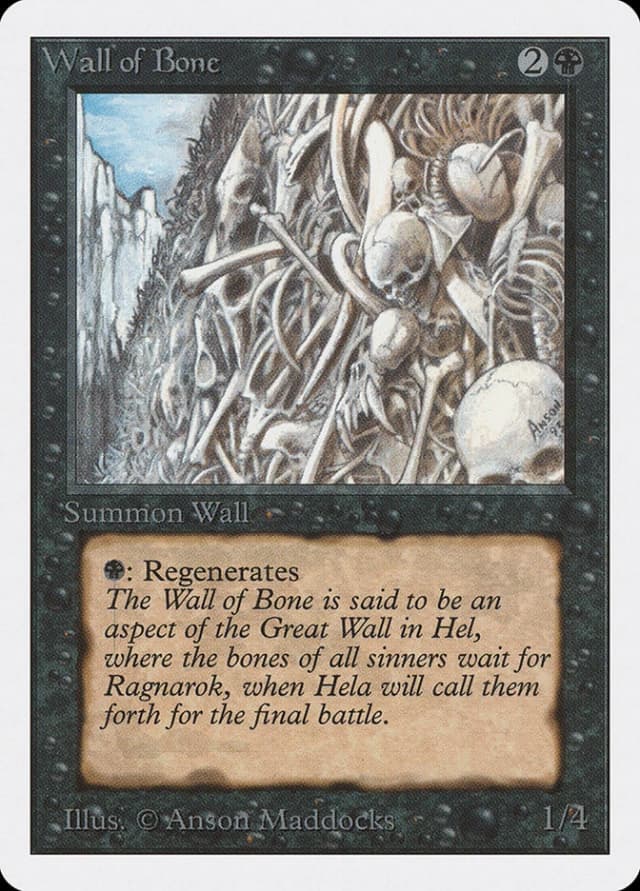 Wall of Bone image