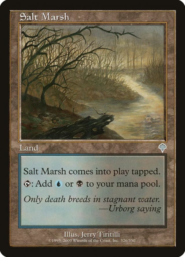 Salt Marsh image
