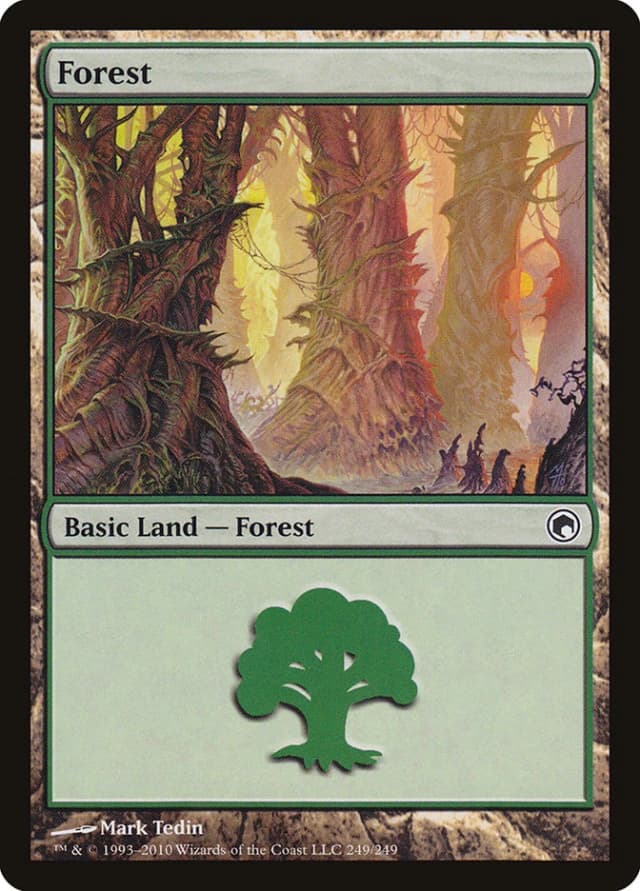 Forest image