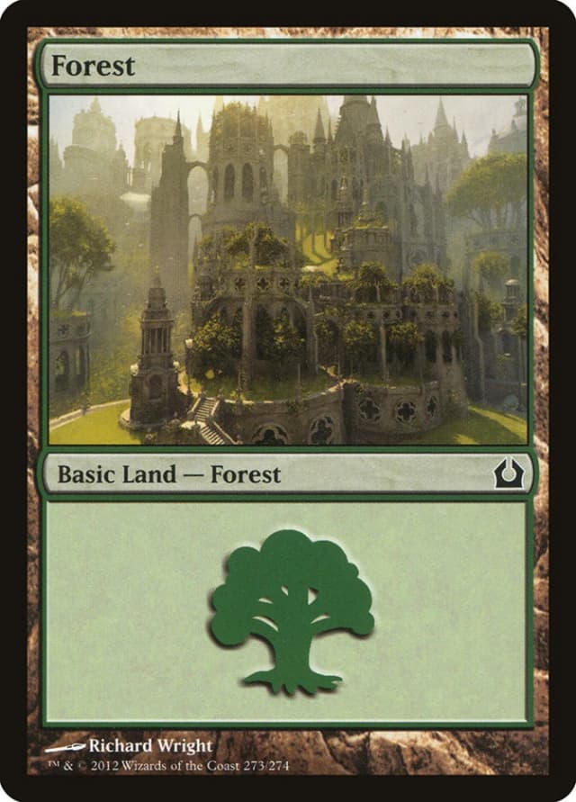 Forest image