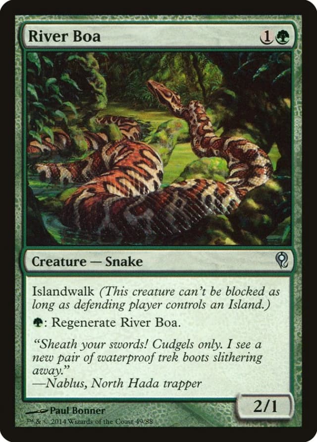 River Boa image