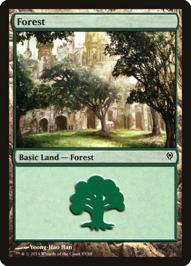 Forest image