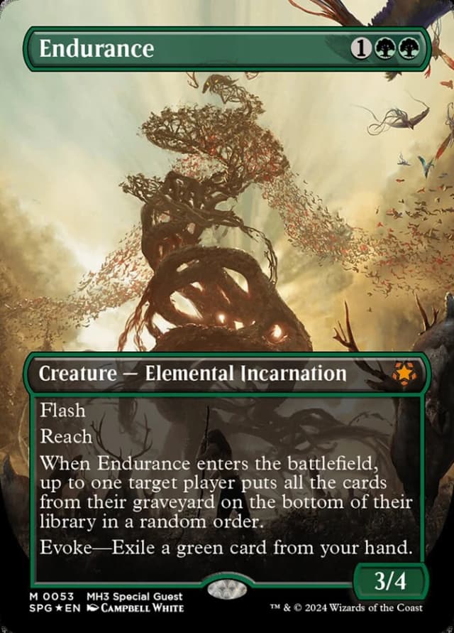Endurance image
