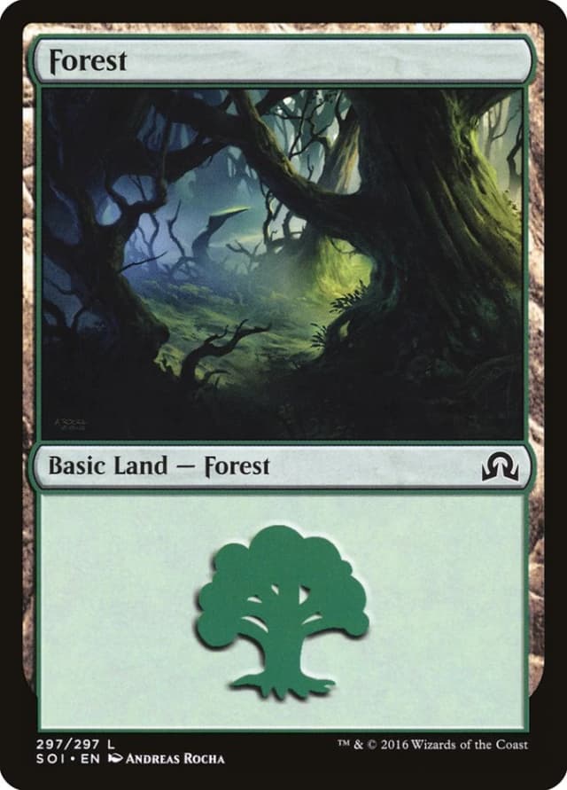 Forest image
