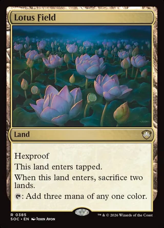 Lotus Field image