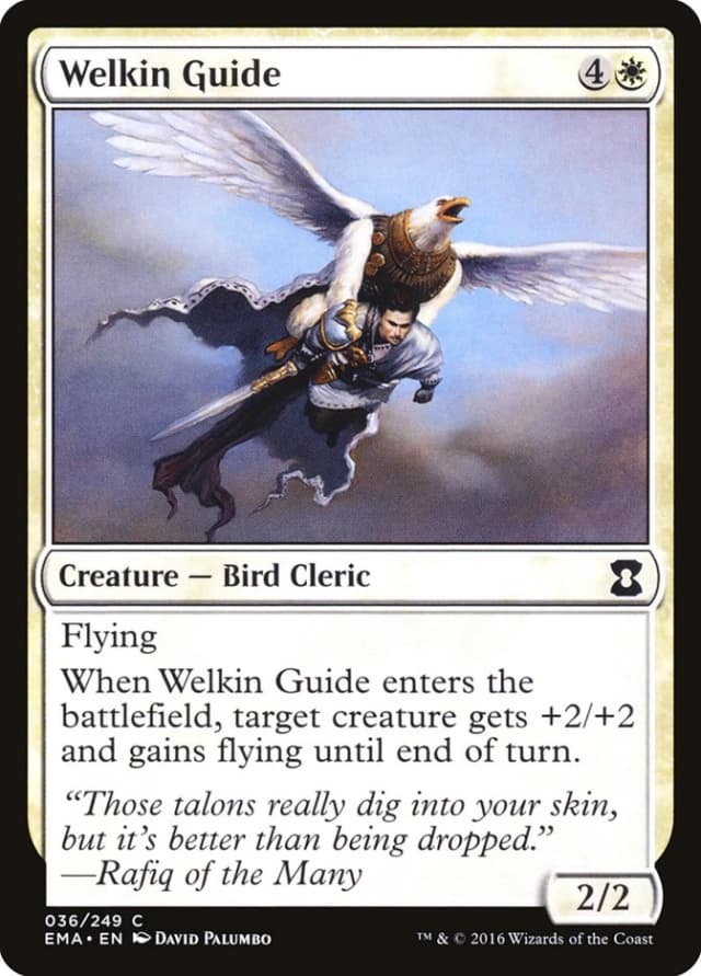 Welkin Guide image