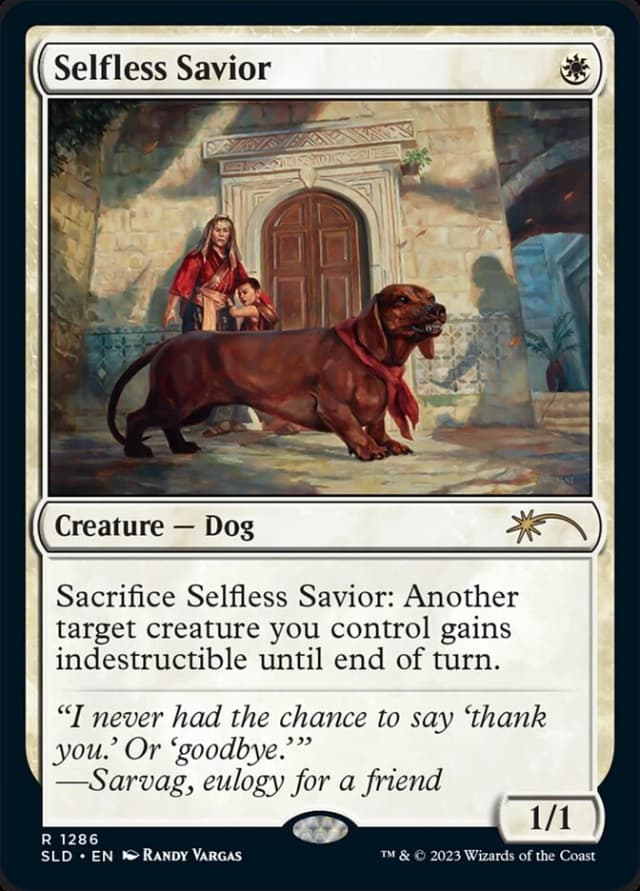 Selfless Savior image