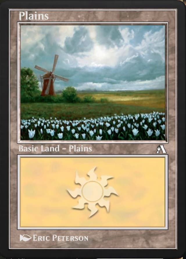 Plains image