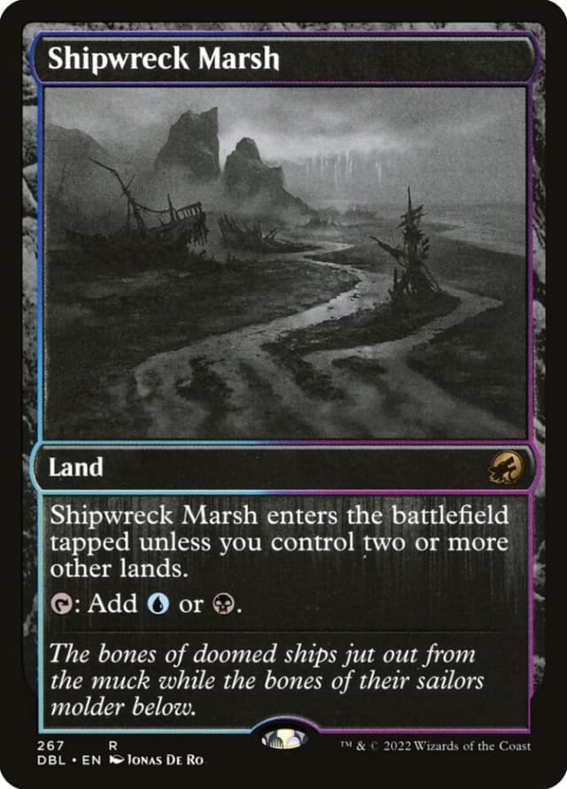 Shipwreck Marsh image