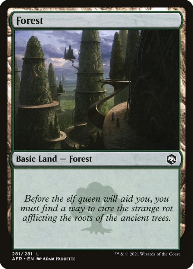 Forest image