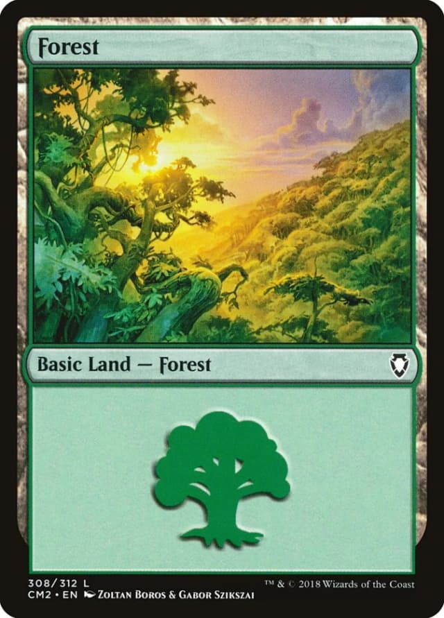 Forest image
