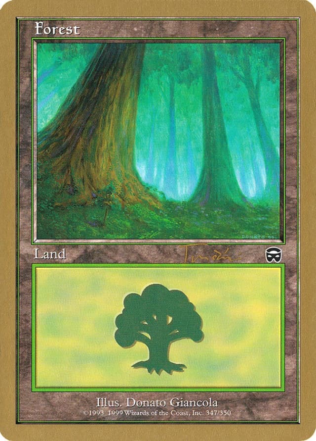 Forest image