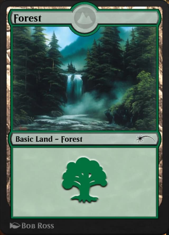Forest image