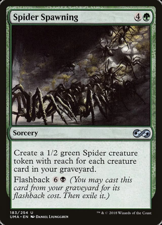 Spider Spawning image