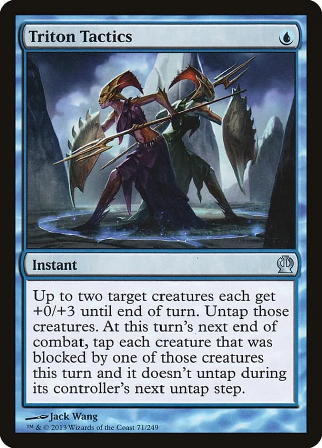Triton Tactics image