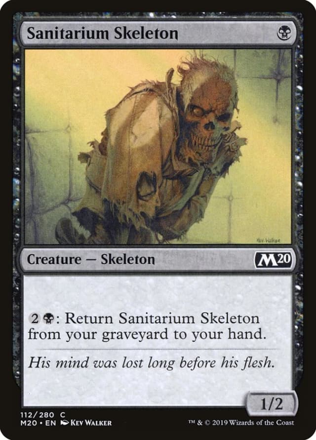Sanitarium Skeleton image