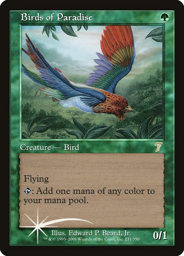 Birds of Paradise image