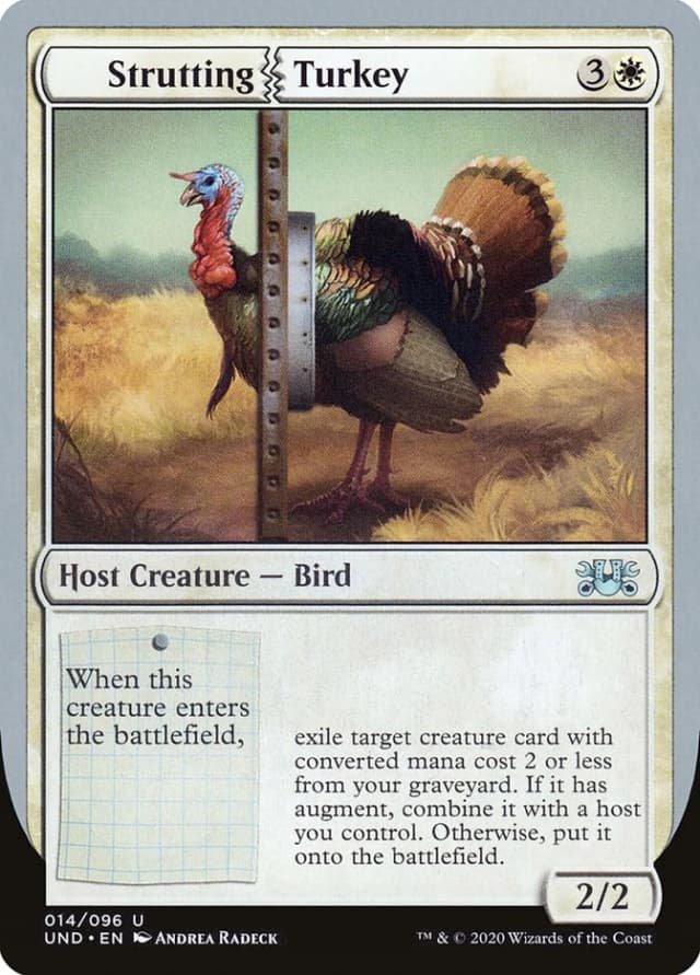 Strutting Turkey image
