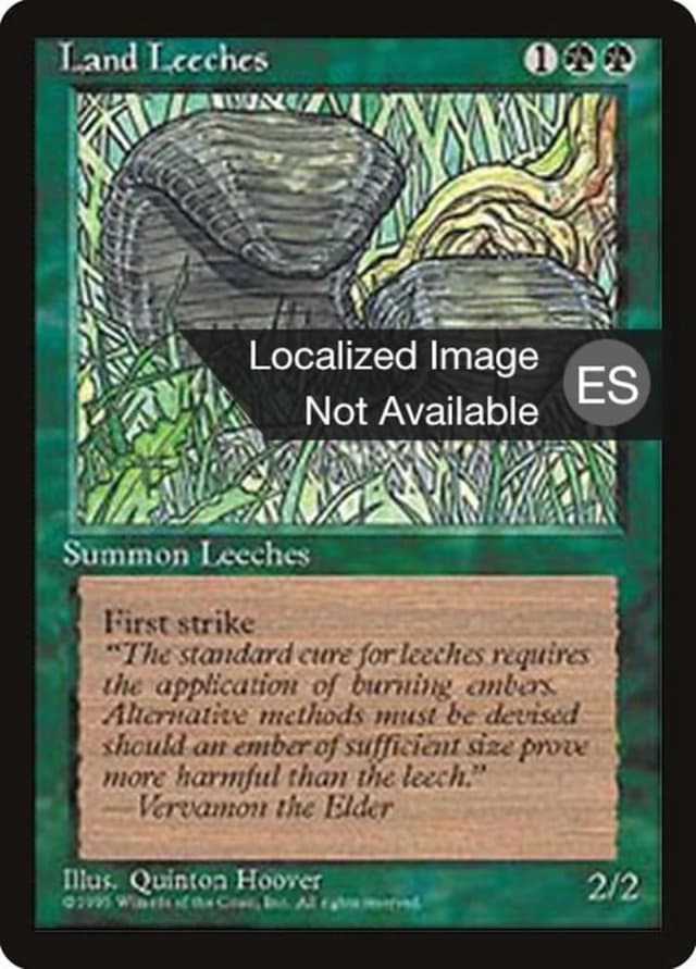 Land Leeches image