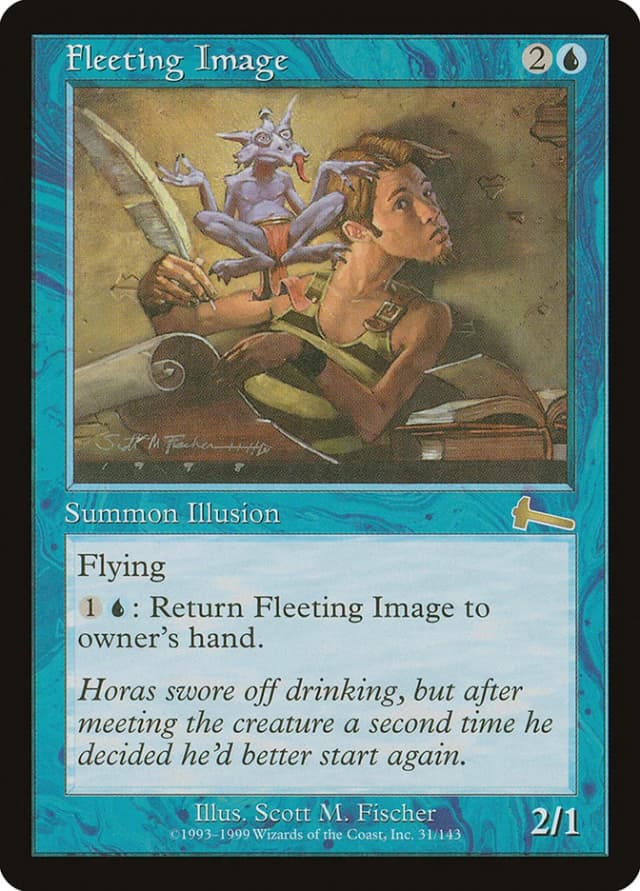 Fleeting Image image