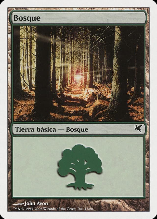 Forest image