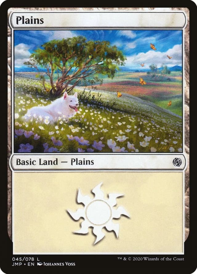 Plains image
