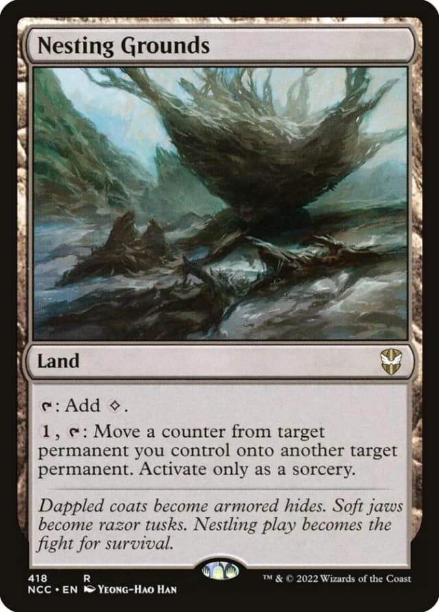 Nesting Grounds image