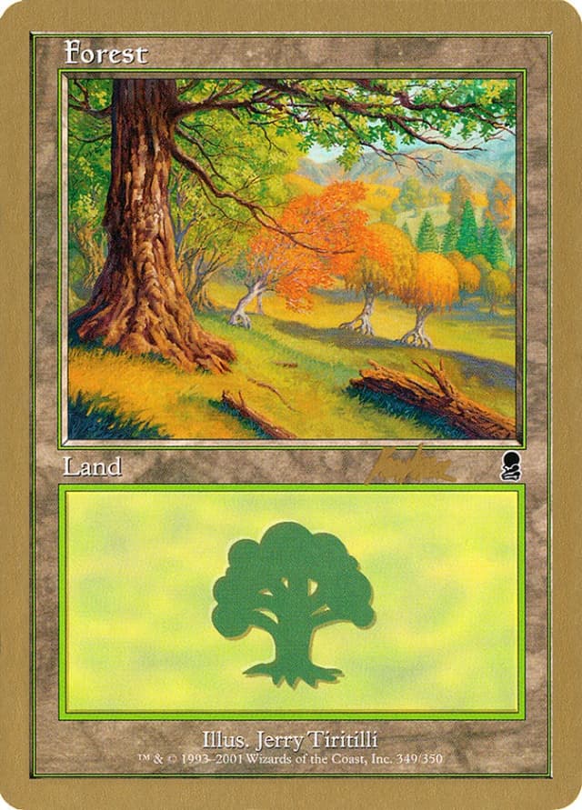 Forest image