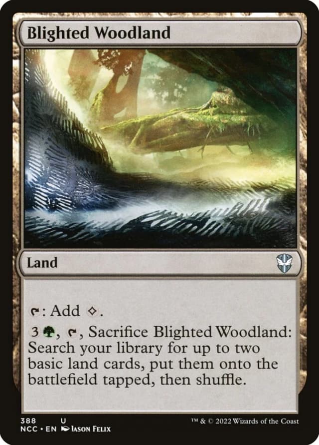 Blighted Woodland image