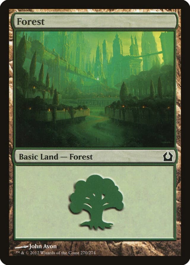 Forest image