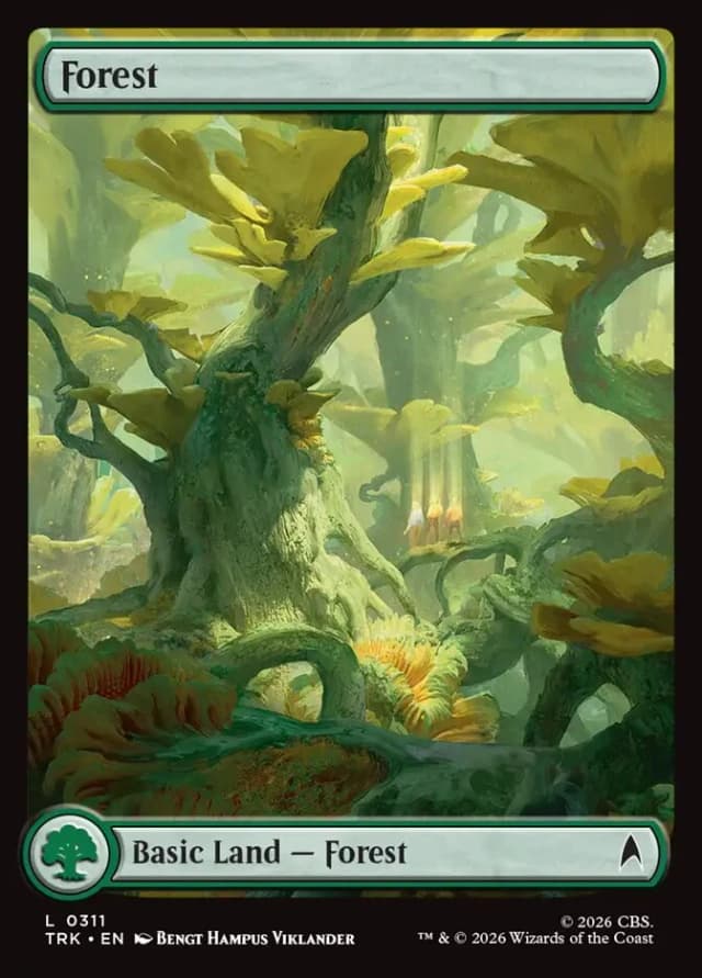 Forest image