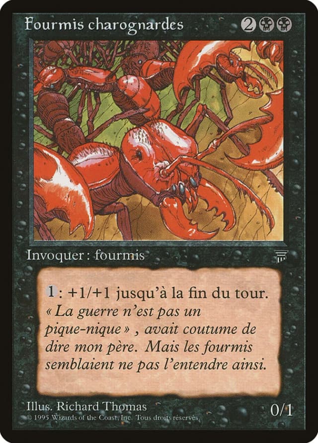 Carrion Ants image