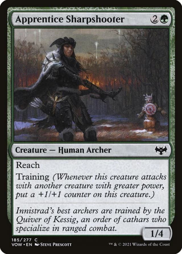 Apprentice Sharpshooter image