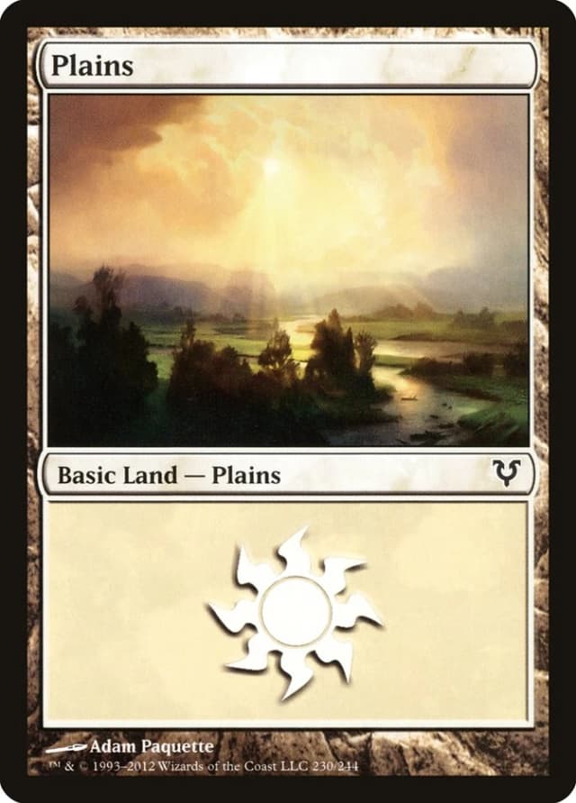 Plains image
