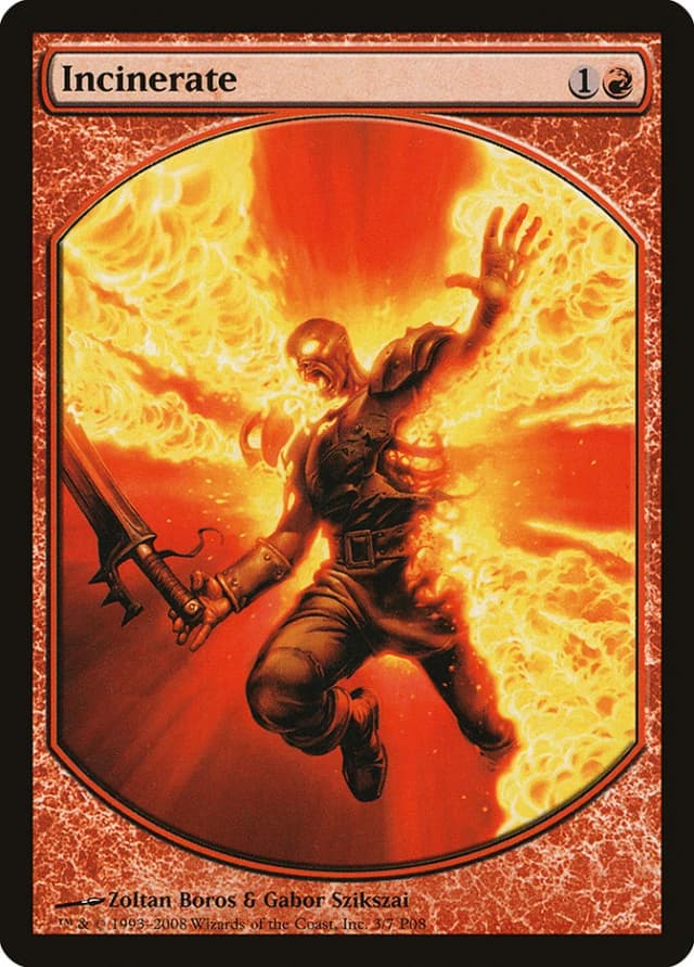 Incinerate image