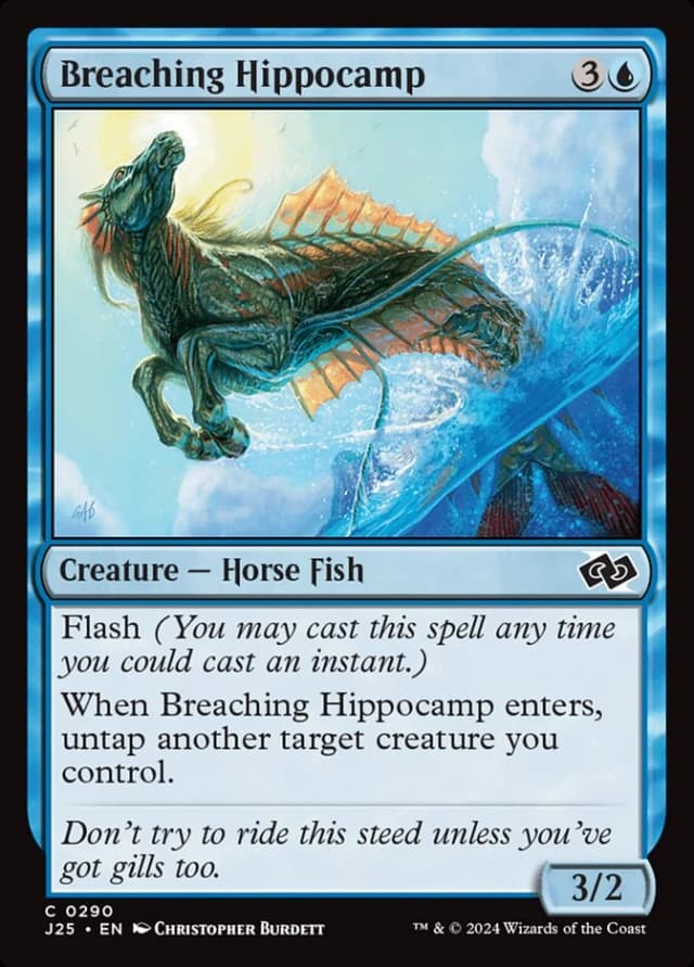 Breaching Hippocamp image