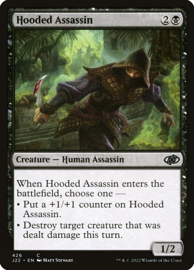 Hooded Assassin image