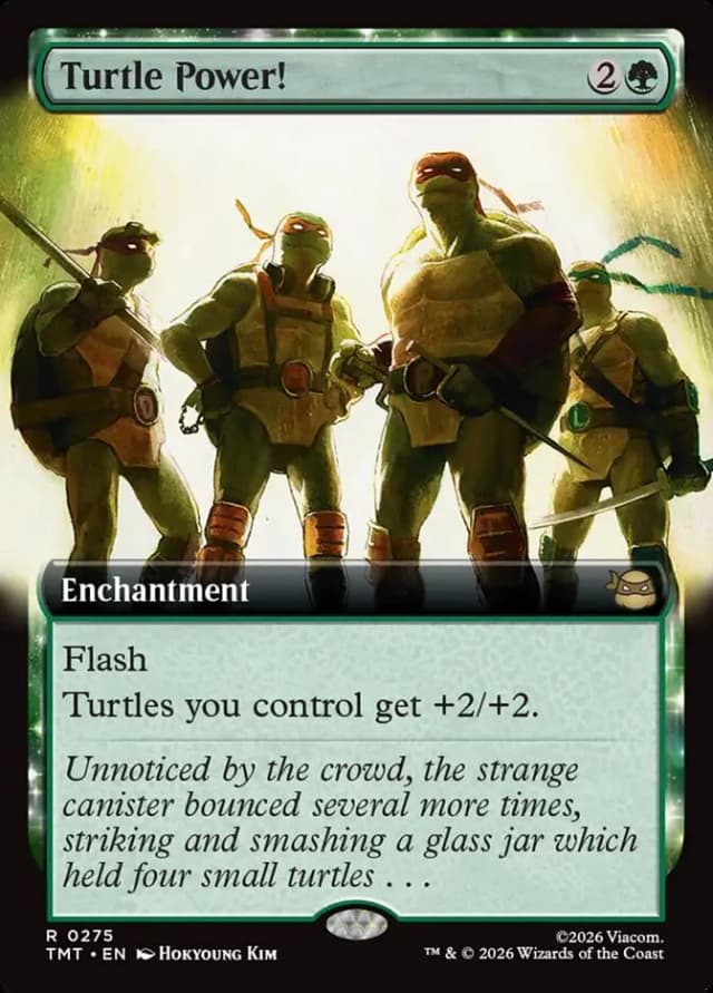Turtle Power! image