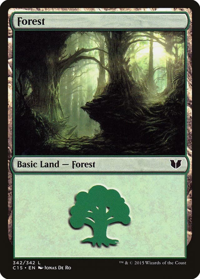 Forest image