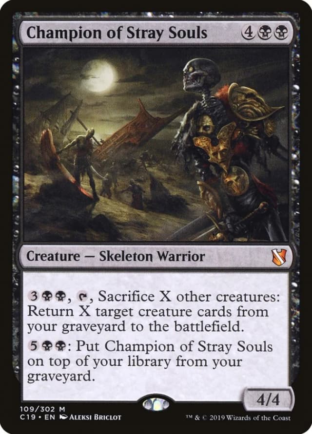 Champion of Stray Souls image