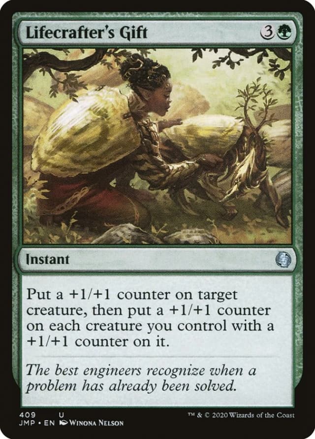 Lifecrafter's Gift image