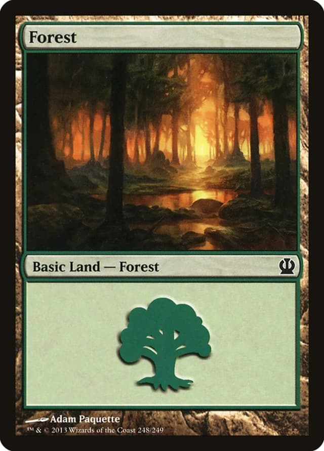 Forest image