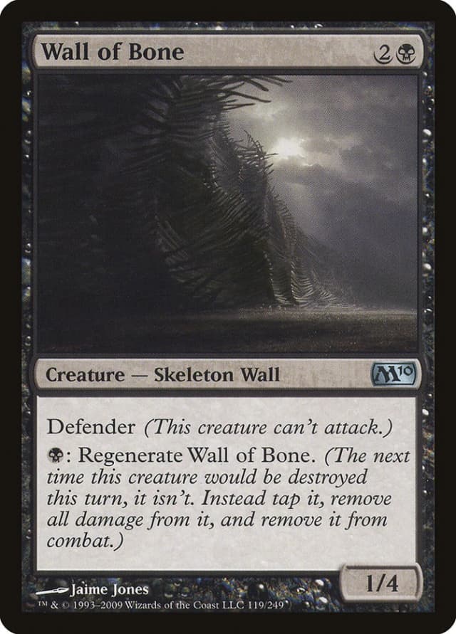 Wall of Bone image