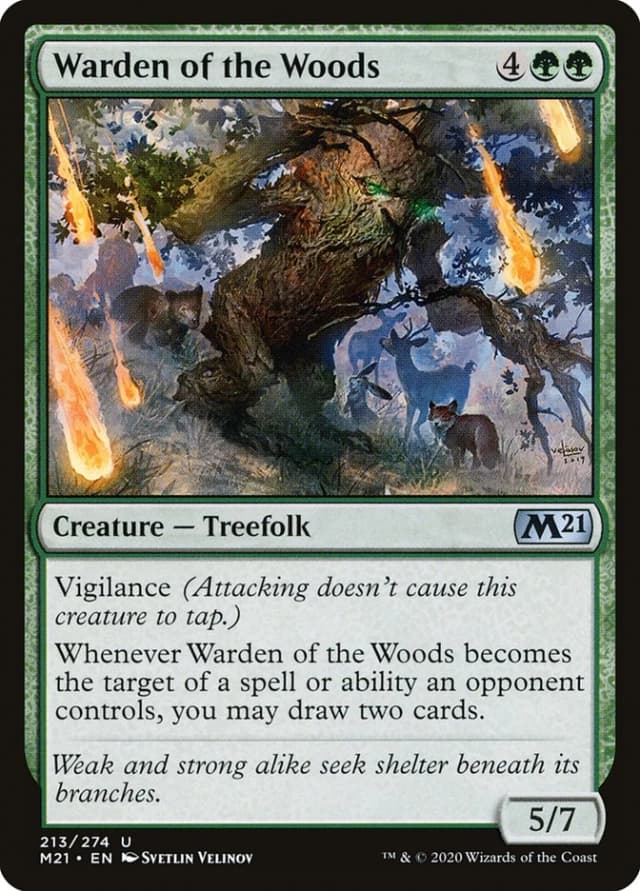 Warden of the Woods image