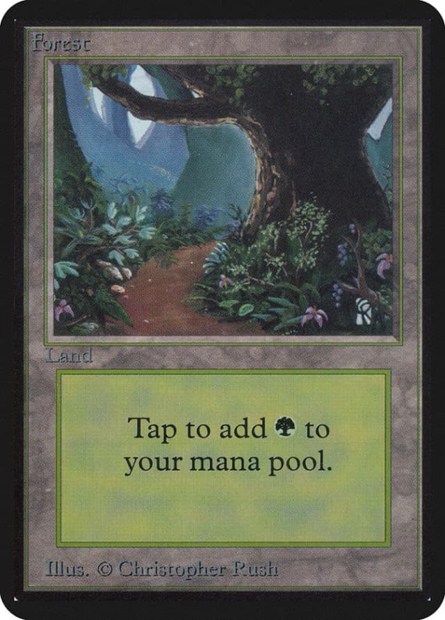 Forest image
